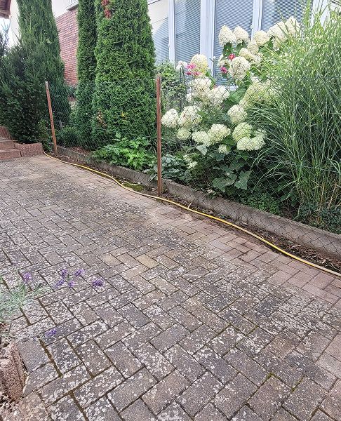 Vermooste Pflasterfläche vor dem Reinigen. Die Einfahrt ist stark verschmutzt. Reinigungsfirma "Über uns" für strahlende Flächen kontaktieren!