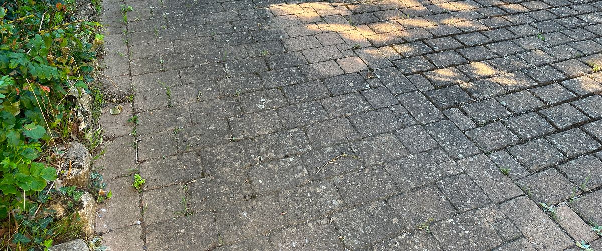 Vermooste Pflasterfläche reinigen: Vorher-Zustand einer Einfahrt mit Bewuchs. Reinigungsservice für Ihre Homepage.